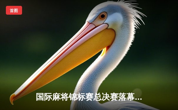 国际麻将锦标赛总决赛落幕，中国选手王辰逆转夺冠创历史